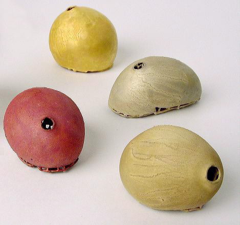 lanter025.jpg